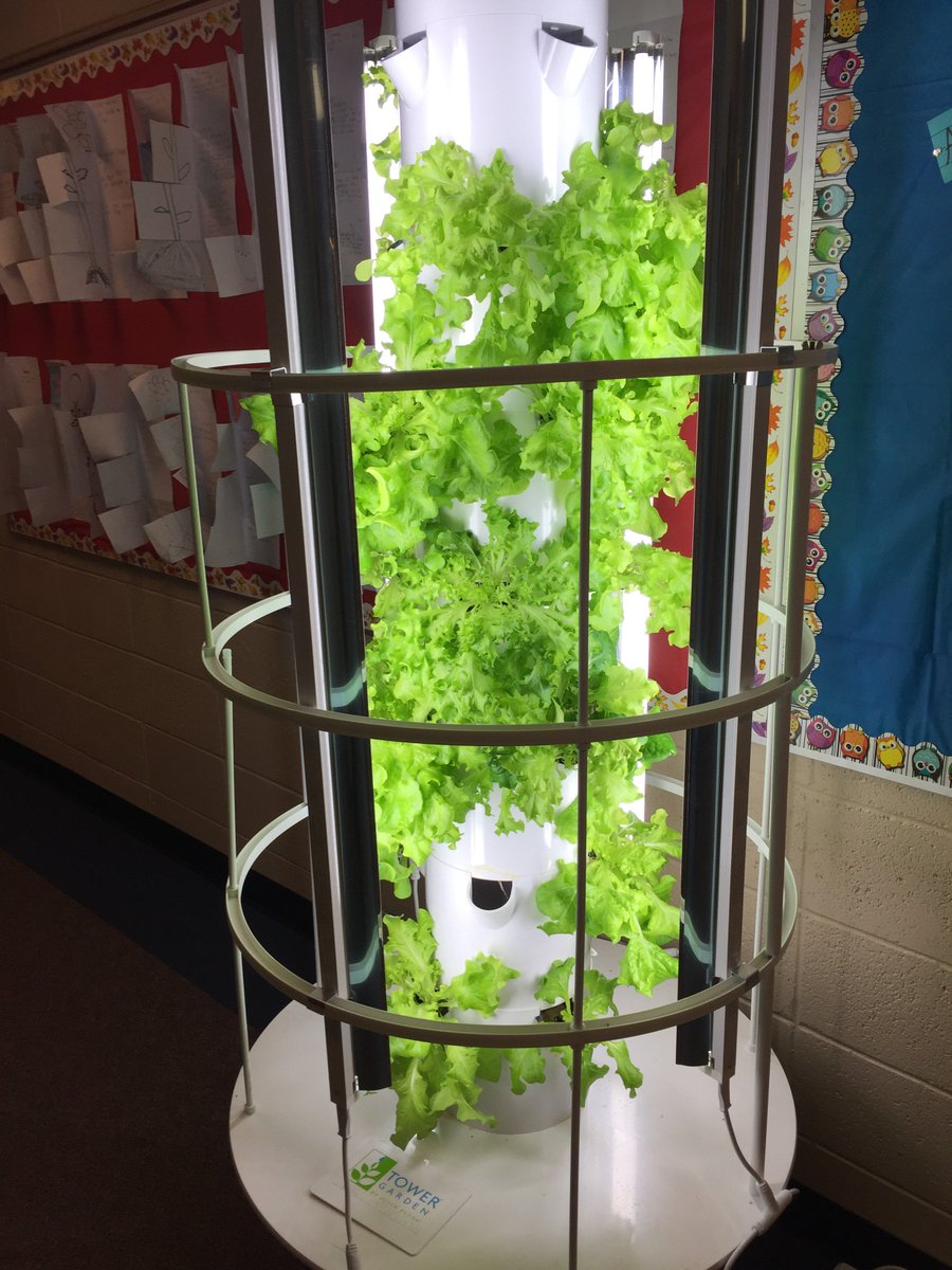 abd4mb's tweet photo. Salad Day tomorrow for us and #45WABD Bring your fixins!! #towergarden #sci4 #healthychoices @Teachawatt https://t.co/5zS6s5f19X