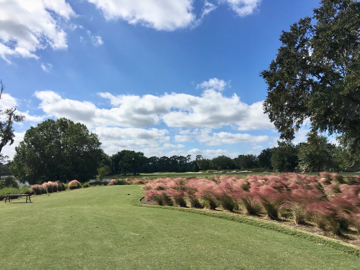 Schudaddy's tweet photo. #OldMemorial great track in Tampa and outstanding service! https://t.co/YJBnQ57Trr
