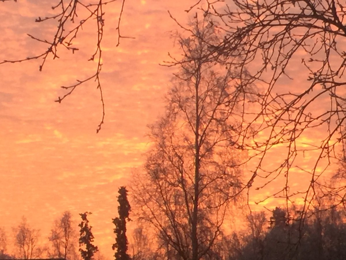 SeanEllis737's tweet photo. Winter sky filled with ice crystals reflecting orange and pink looks almost warm. https://t.co/0DqDFGlxqU