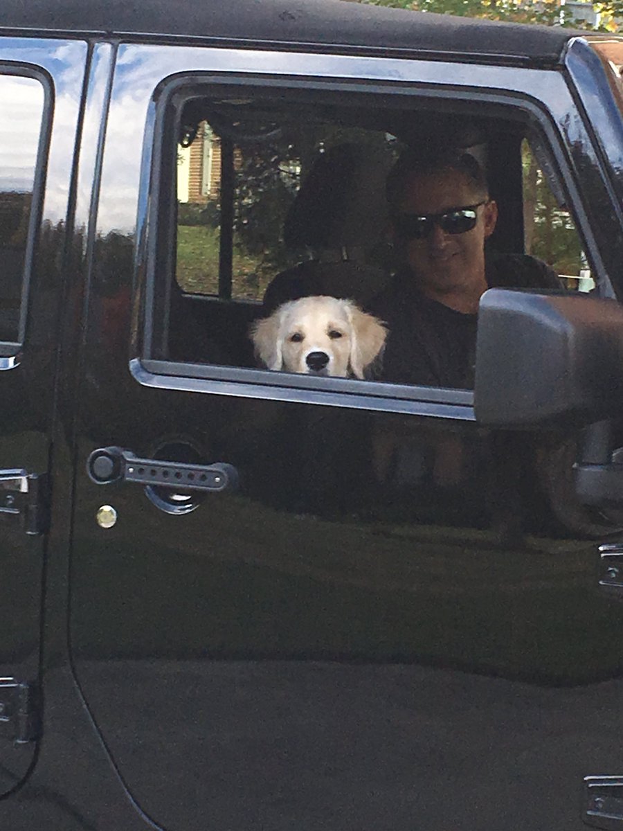 <a href="/Jeep/">Jeep</a> <a href="/JeepMafia_/">JeepMafia</a>  4 months old and Scooby already loves Jeeps.