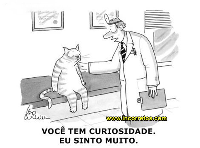 IncorretosBlog's tweet photo. https://t.co/TuznRFbr97