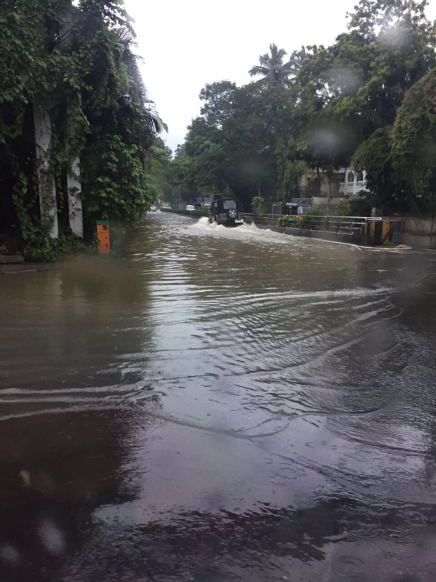 goa_man's tweet photo. This morning at #chamiers road junction signal in Chennai. Look closely who's cleaving through the water. It's a #thar @anandmahindra https://t.co/NTPpko3P7J