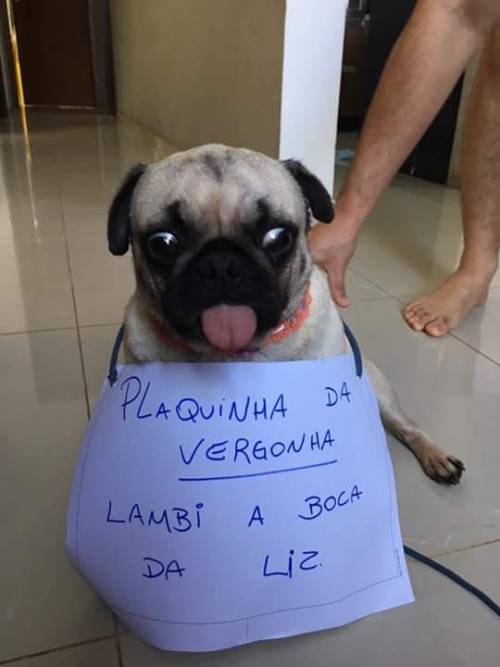 rfl0001's tweet photo. mano
kkkkkkkkkkkkkkkkkkkkkkkkkkkkkkkkkkkkkkkkkkkkkkkkjjjkkkkkkkkkkk https://t.co/2RGaIzXlsO