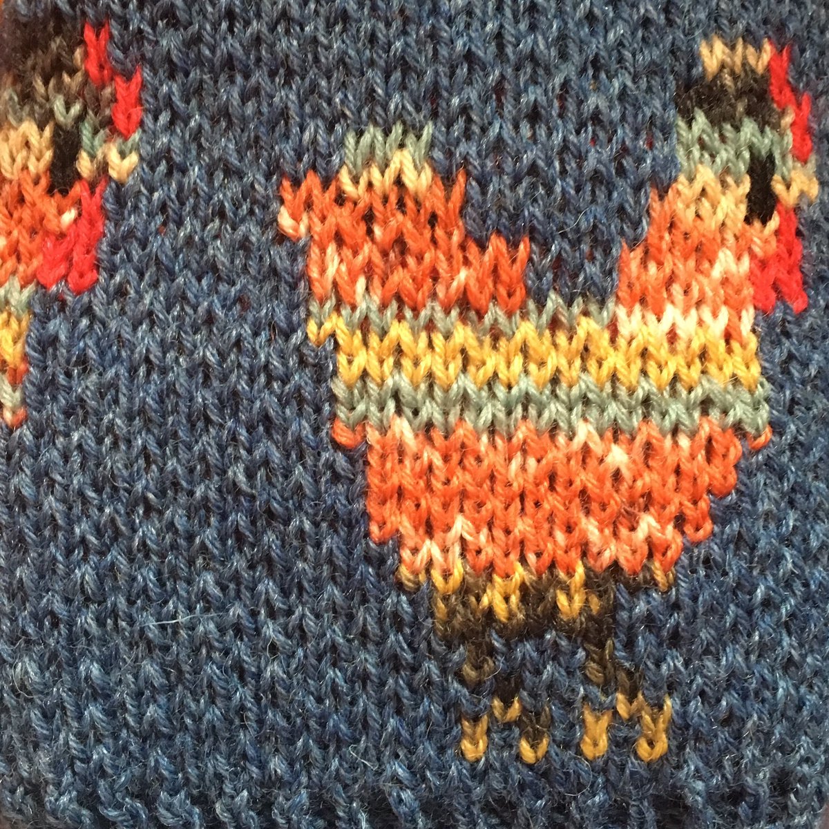 auknitwear's tweet photo. More chicken stockings - I love these! #almostunwearoutable #chickens #shootingsocks #ukmade https://t.co/mas3UosTsJ
