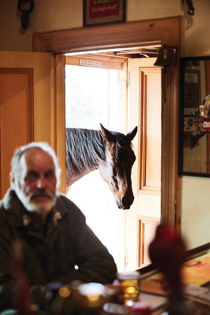 "Set it up, be in shortly." Ever met Willie the horse? He greets punters outside the historic Grand Hotel Kookynie #DriveYourSelfWild