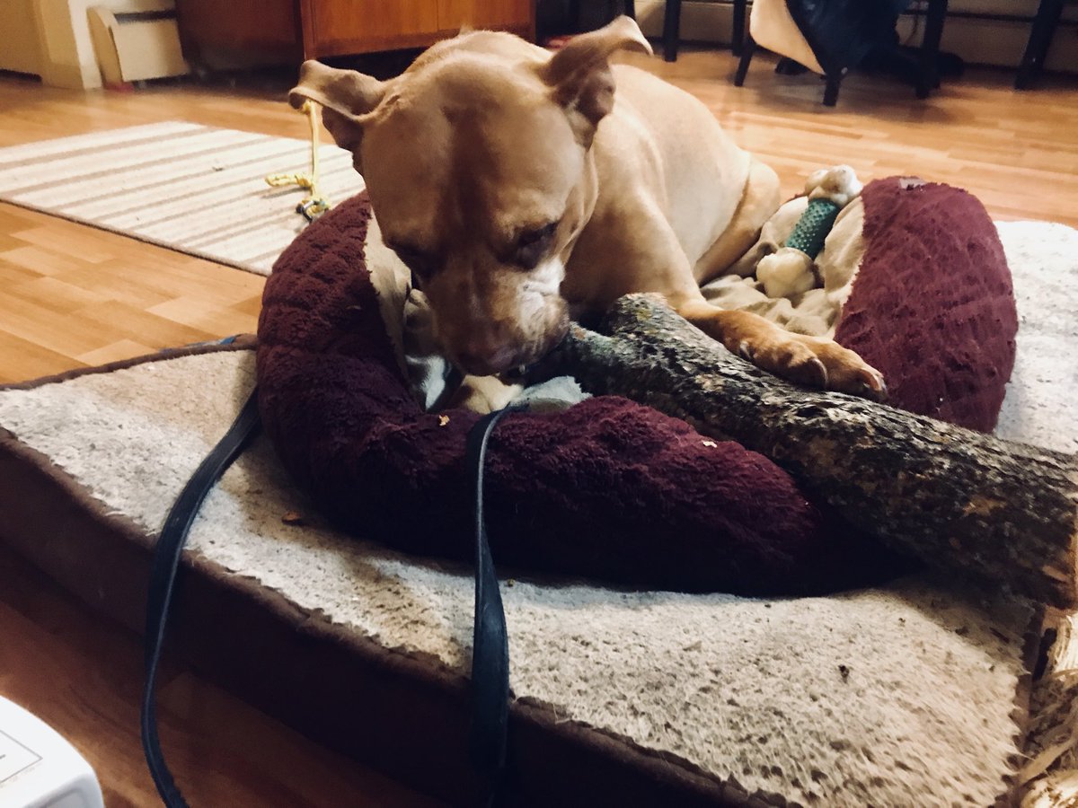 When you resort to chewing firewood to drown your despair.