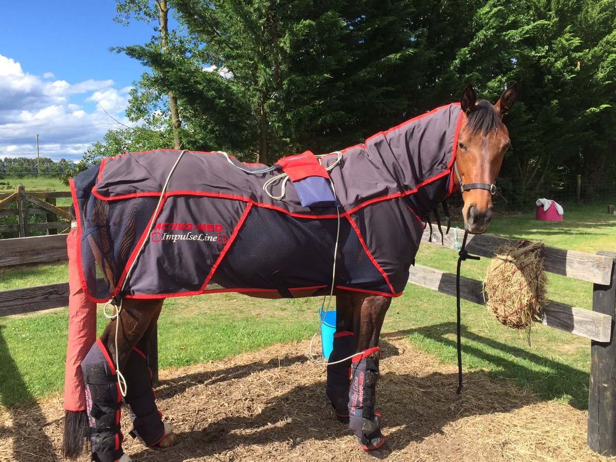 ree_moss's tweet photo. Spa day for Hannah! #activomed #prepareperformrecover #spoiltpony https://t.co/Qk6KsxbeR2