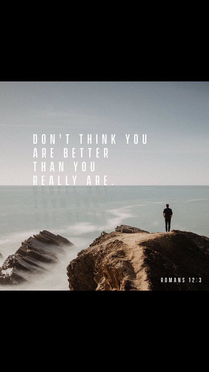 Kimiko Donahue (@kimidonahue) on Twitter photo 