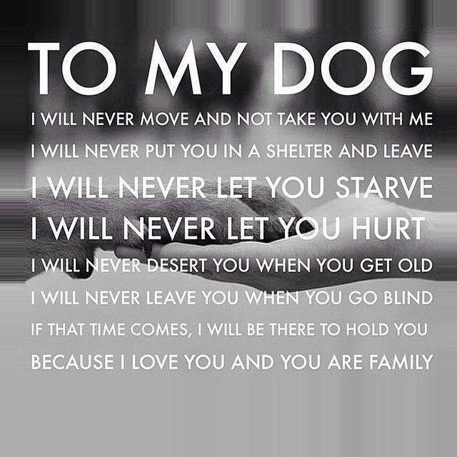 A promise we make.