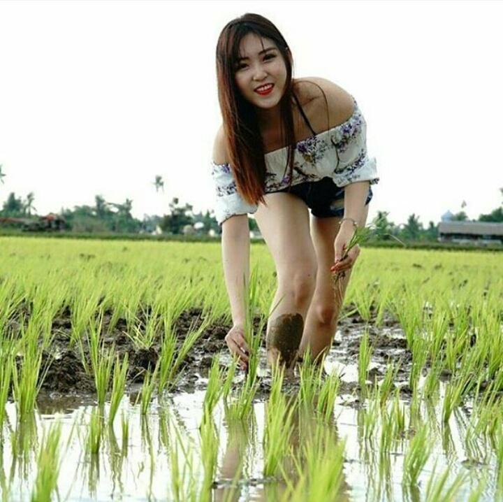 jeruk_pamelo's tweet photo. pagi sobat petani Indonesia.. sudahkan anda menanam ? #berkebun #JumatBerkah  #petani #marimenanam https://t.co/G94yuCsZ2R