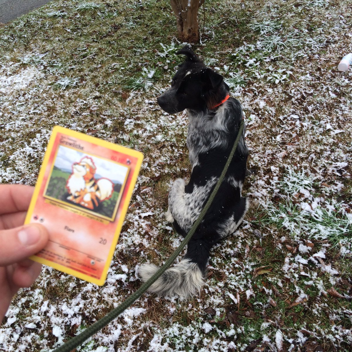 reskillience's tweet photo. I keep the heater on me. @Pokemon #PokemonIChooseYou https://t.co/c2ZIIEDWCj