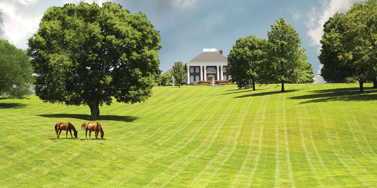 HongWolfeUS's tweet photo. #Land #Farms for #Sale in #Oregon by #Hong_Wolfe real estate. Call now for having a farm land for your dream farms setup 5417409497. https://t.co/wh59riEjBB