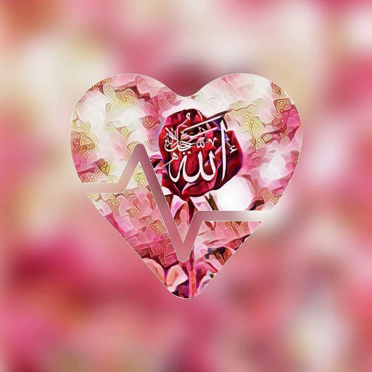 MERCANGLER's tweet photo. بِسْــــــــــــــــــمِ اﷲِالرَّحْمَنِ اارَّحِيم  
Allah'ın  affına  erişebilmek dua'sıyla
Günaydın 
Hayırlı cumalar https://t.co/TNbGBtv0F0
