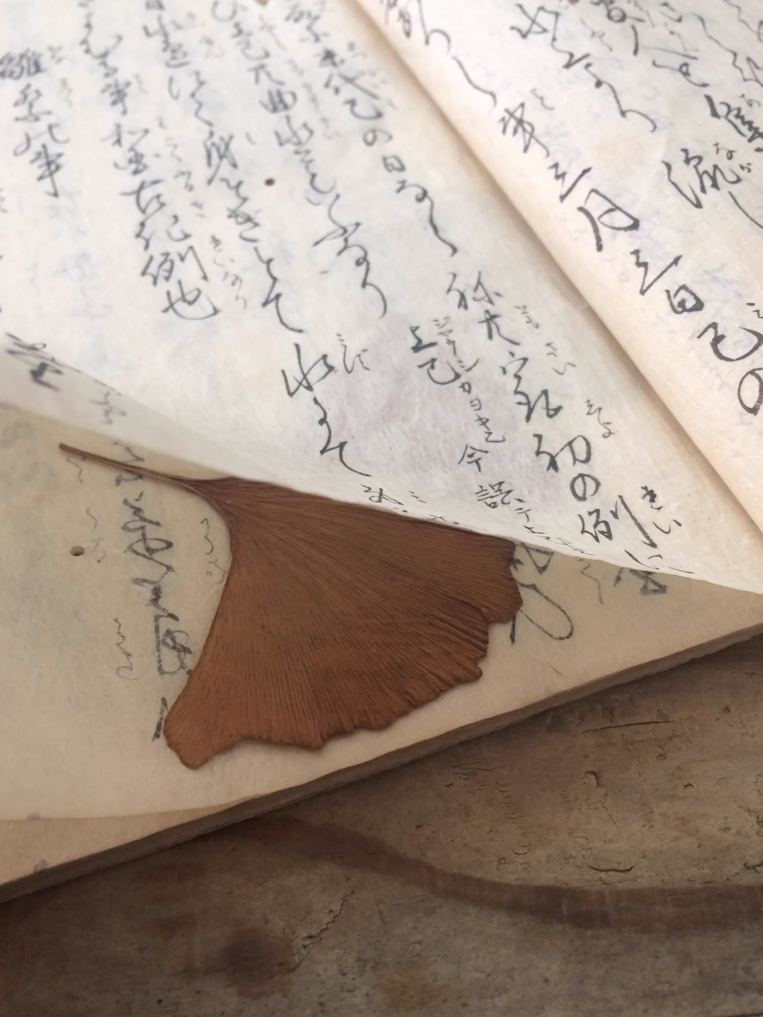これは風流な…古書にイチョウの葉が挟まっている秘密