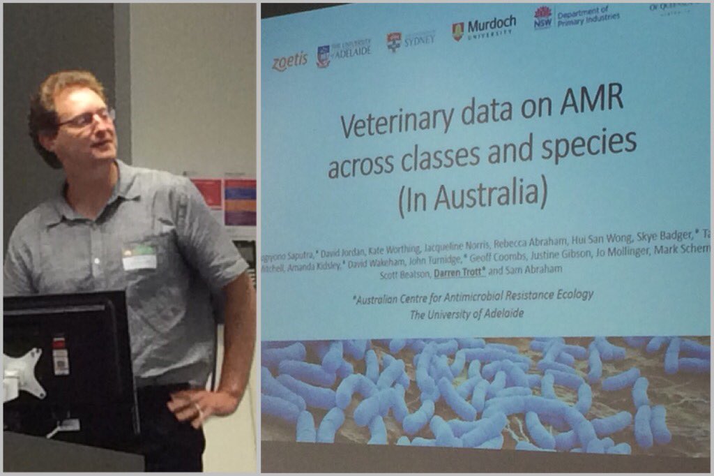 DrHannaSidjabat's tweet photo. Now, enjoying Prof. Darren Trott’s (my UQ PhD supervisor) on #Veterinary #livestock #AMR17 🦆🐓🐂🐃🐄🐕🐈 @CRE_REDUCE @NCAS_Aus 👏👍👏 https://t.co/us5EudCLKz