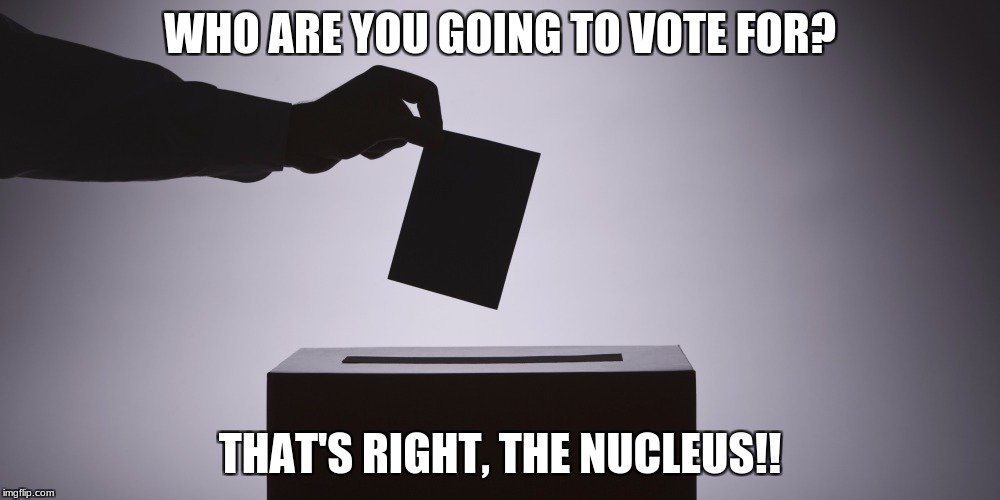 Nucleye's tweet photo. @mslaflamme #organellewars #akins https://t.co/OPmbHWRa32