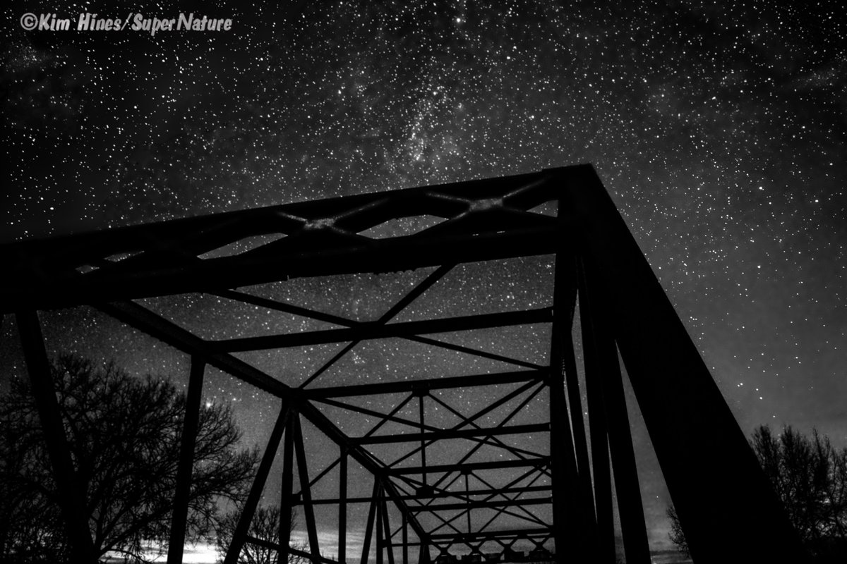 KimHinesSN's tweet photo. Bored #aurorahunters show me #nightphotography Blk n W! 😀This is 40kms N of #Winnipeg when shooting Aurora. #waitingforcolor https://t.co/JRuI2Lx9Qx