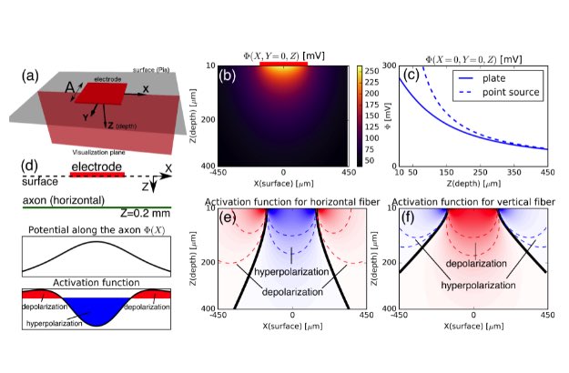 neuroraf's tweet image. Selective Recruitment of Cortical Neurons by Electrical Stimulation biorxiv.org/content/early/…