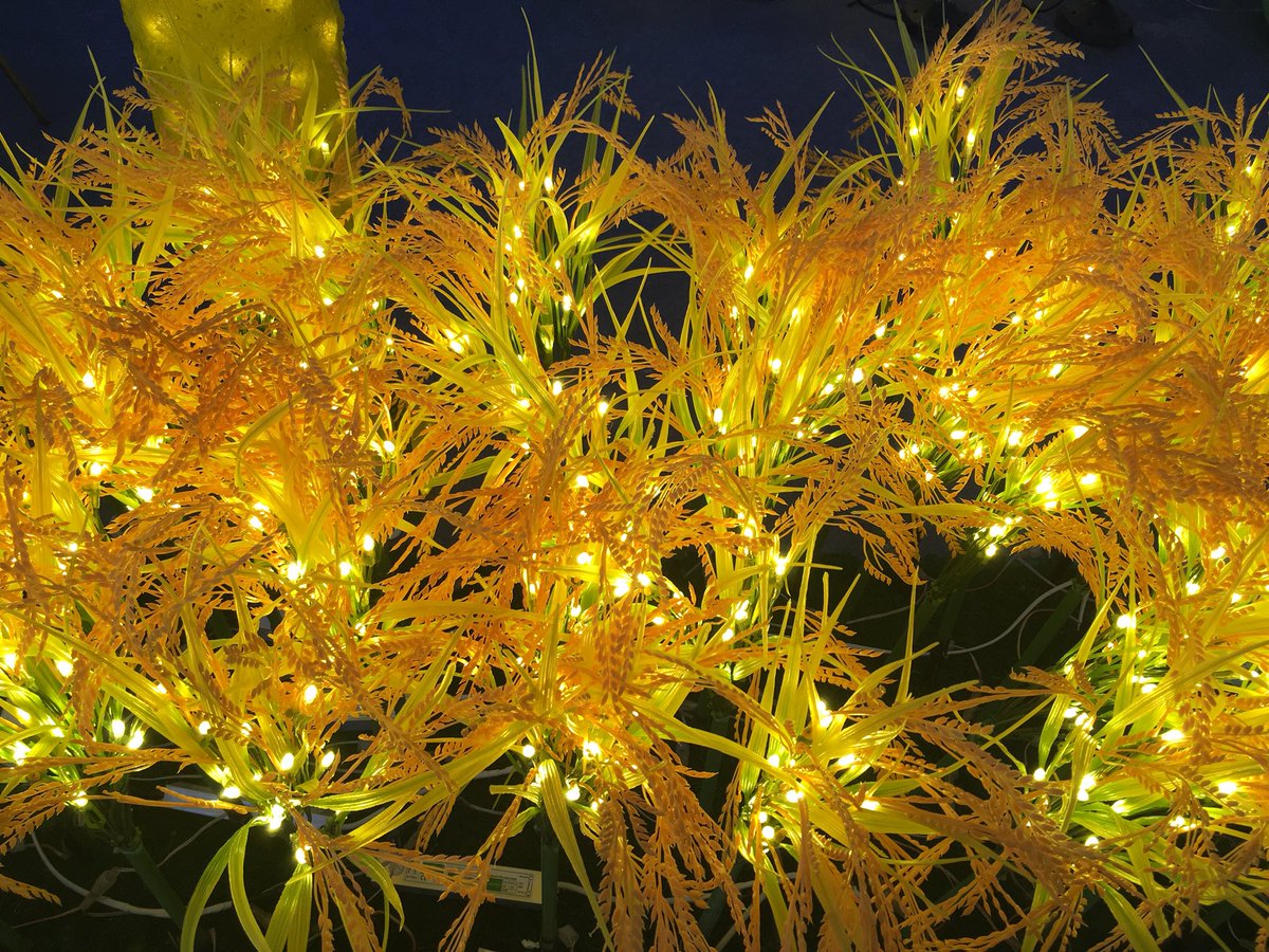 Tonerctrge's tweet image. Good weekend