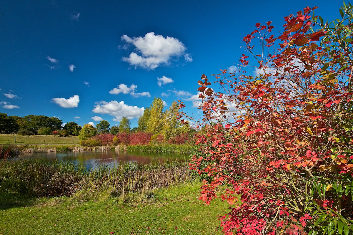 There's still space on our Members' Walk on Sat 11 Nov - learn how you can create your own wetland in your garden bit.ly/2iYIejZ