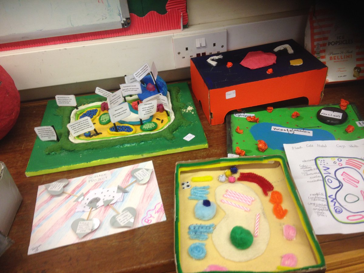 Malbank_Head's tweet image. More cells! #creativityinscience