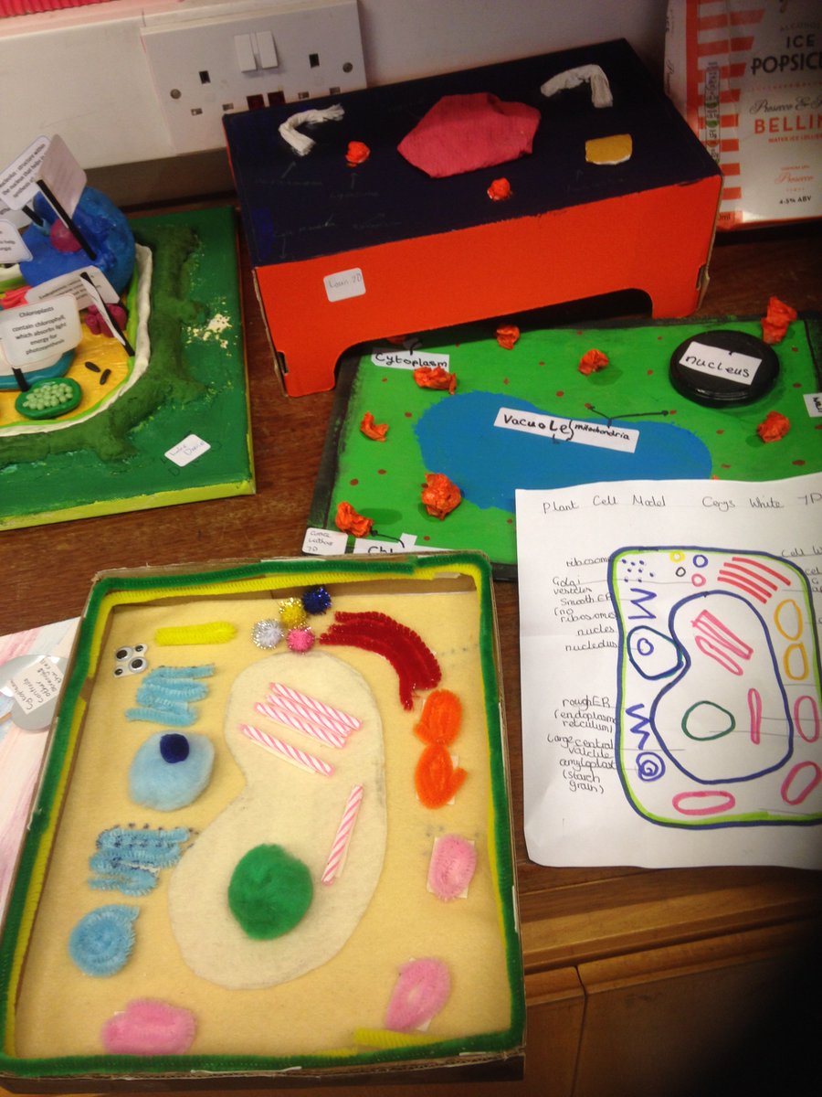 Malbank_Head's tweet image. More cells! #creativityinscience