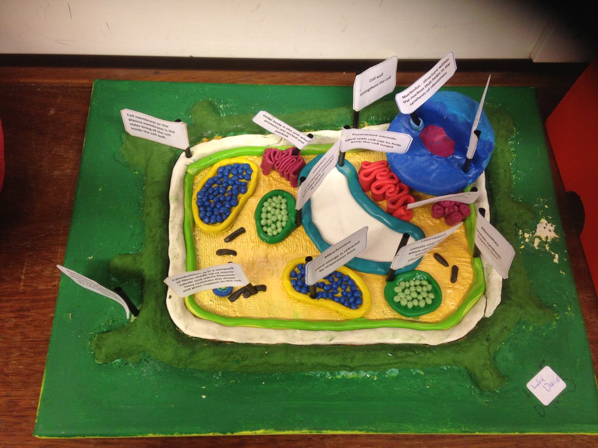 Malbank_Head's tweet image. More cells! #creativityinscience