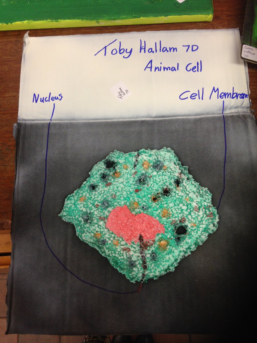 Malbank_Head's tweet image. More cells! #creativityinscience