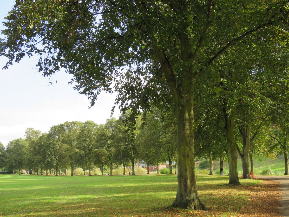 ShrewsBloom's tweet photo. Voting for #Quarry park in #Shrewsbury closes 5pm today in @FieldsInTrust UK's Best Park 2017 - cast your vote at: https://t.co/bcXkv7RfFg https://t.co/bPTZwGwdox