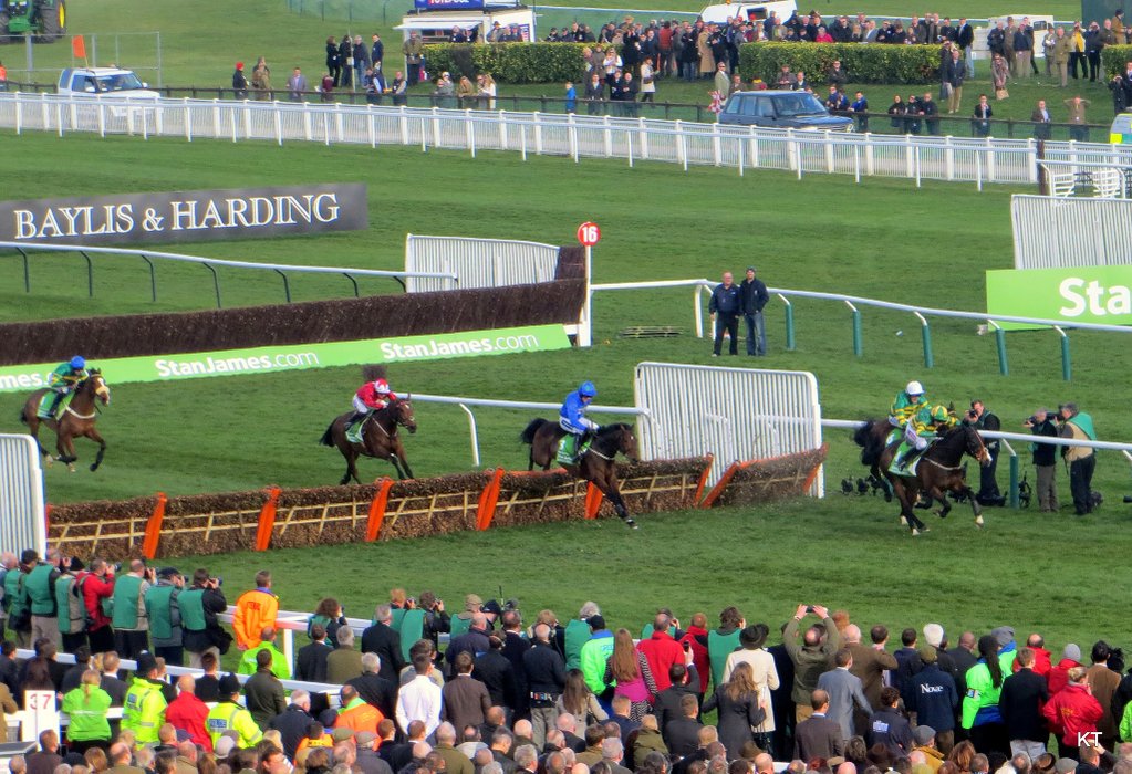 CheltCountdown's tweet image. National Hunt Fan?

Make sure to follow us for all the latest news, previews and exclusives on jumps racing.

Follow us!