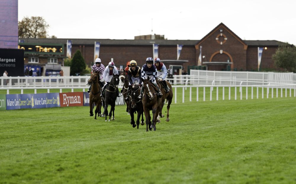 CheltCountdown's tweet image. National Hunt Fan?

Make sure to follow us for all the latest news, previews and exclusives on jumps racing.

Follow us!