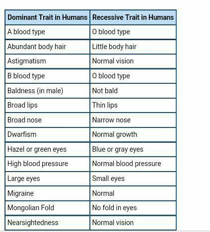 Study_spm's tweet photo. Trait
#Biology
#Study2_0
#Spm2017 https://t.co/7NMb97V3IM