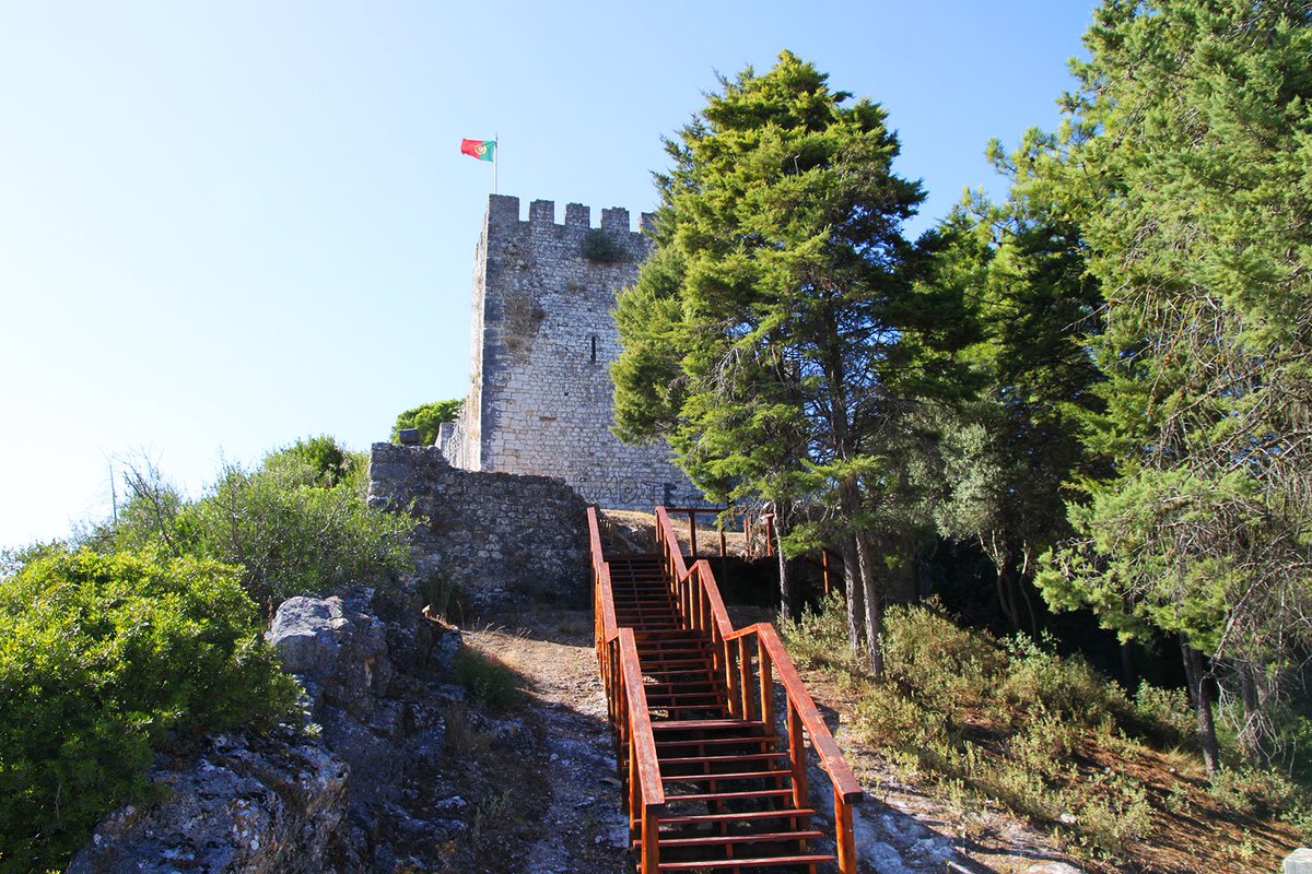 faceroute's tweet photo. Visita o Castelo de #Alcanede e aprecia a paisagem das suas muralhas e longas torres! https://t.co/Gi6jxmKHph
#faceroute #santarem #portugal https://t.co/Xc8WEDxiwF
