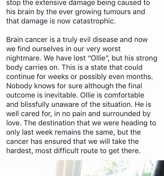 buildollieshall's tweet photo. Very sad news from Ollie's family 💙🙏 https://t.co/it2V12E0cw