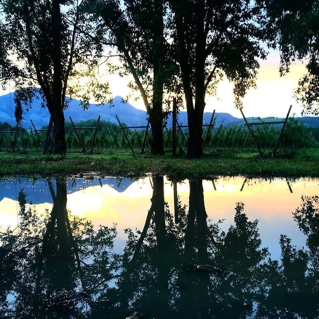 wearebikemob's tweet photo. Post Thunderstorm #reflectiongrams to get the @W2WMtb race under way. 
#Mtbiking #StageRacing #NinerBikes #PedalDa… https://t.co/jpSGnzRAnH https://t.co/eYDhunccts