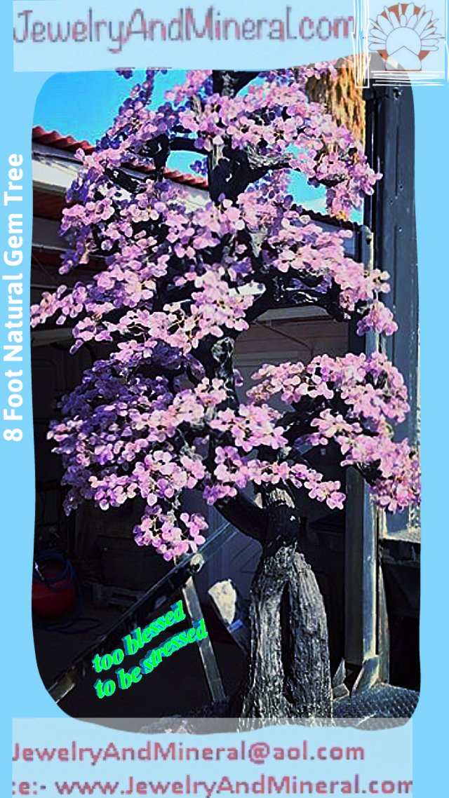 jewelry_mineral's tweet photo. #Biggest #Amethyst #Crystals #TreeOfLife #handmade #handcarved #madebyhand #amethystTree #MoneyTrees #MoneyTree #CrystalTree #CrystalTrees https://t.co/25Sy6TKVh0