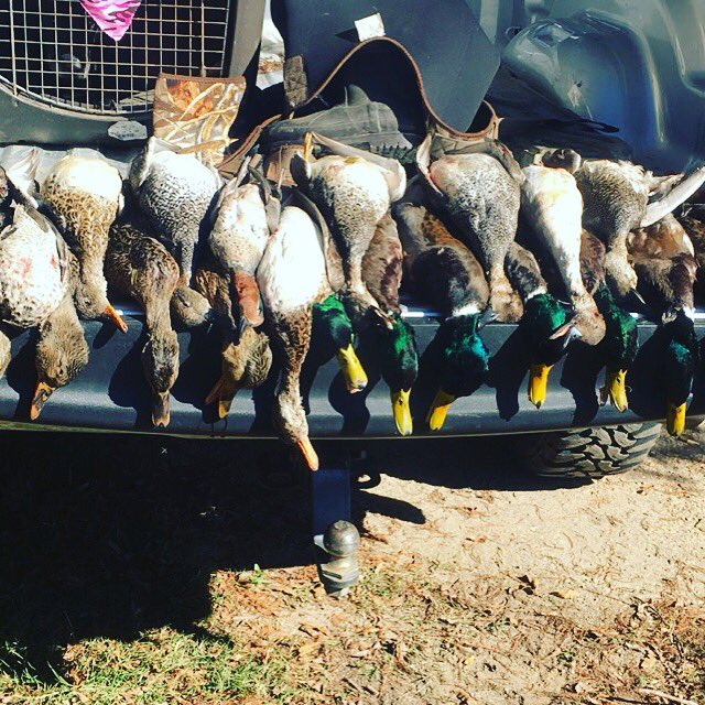 lance_nolan's tweet photo. I live my life for moments like these. It's what I love, it's what I'm best at!#huntingismylife https://t.co/2Gp4p5DSiZ
