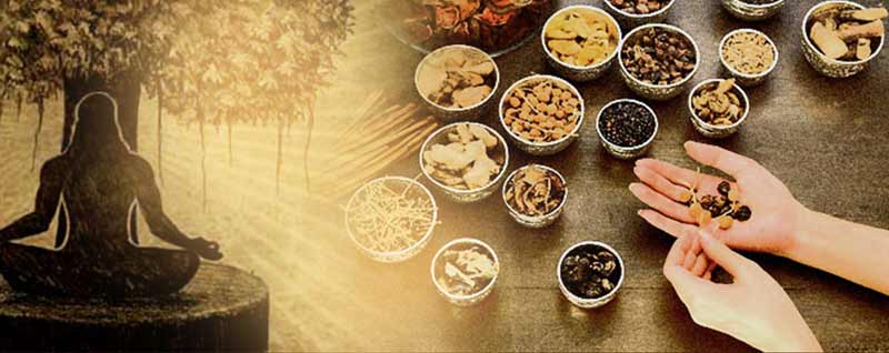 AyurvedainIndia's tweet photo. https://t.co/MqPBuu7cuz
#BestYogaInstitueinRishikesh #LearnPanchkarmainRishikesh #AyurvedaPanchkarmainRishikesh #YogaCertificationCourse https://t.co/06dEsL7yWk