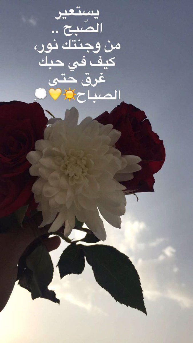 EngTRmohammad's tweet photo. https://t.co/zgzEPFhse6