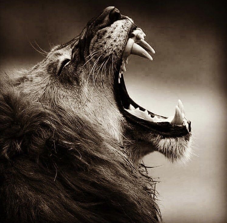 coreyrobertsing's tweet photo. Gotta use the #pain to #create #strength and #endurance! #stayfocusedkeepgoing #actors #singers #dancers #dreamers #actorslife #faith #love https://t.co/Q6oPYwzfcy