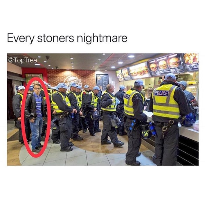 Marijuana Cannabis tweet media