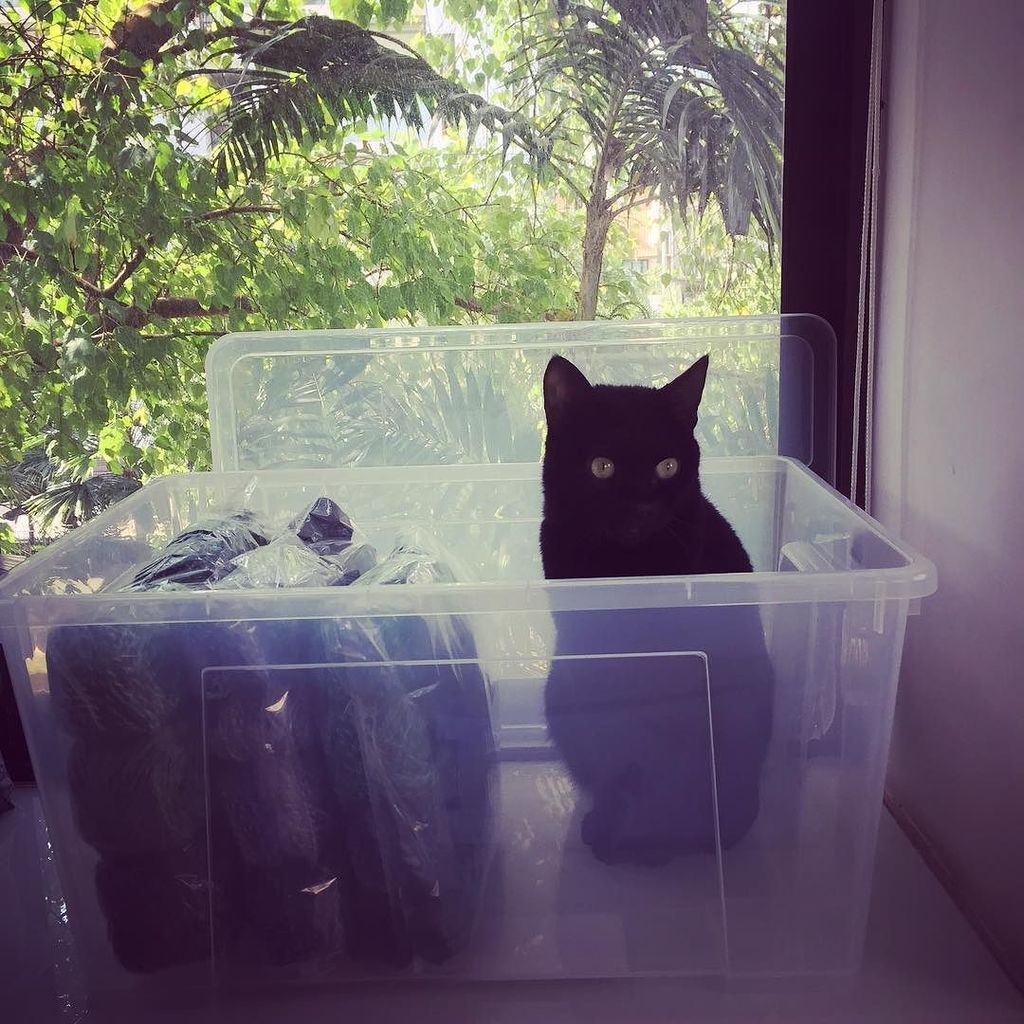 infinitetwist's tweet photo. Helping with inventory. #ififitsisits https://t.co/cgOHQcnjDJ https://t.co/jgdymhQ5iD