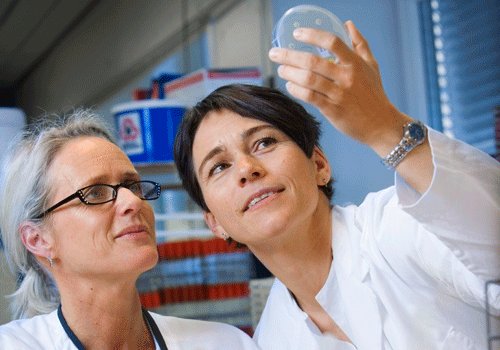 forskningsradet's tweet image. For å rekruttere til #forskning starter vi opp
forskerlinjer sammen med @NTNU @UniOslo @UiB @UiTromso @UniNMBU bit.ly/2hzZXue