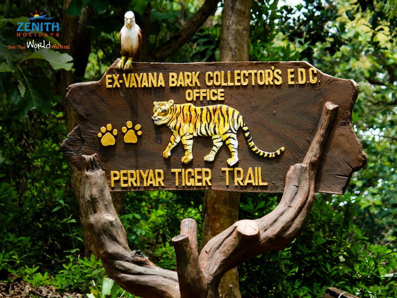 zenitholidays's tweet photo. Get in touch with the wild side of Kerala this time and walk down the trails of the beast at The Periyar Wildlife Sanctuary.
 #WhenInKerala https://t.co/VZidbydFOd
