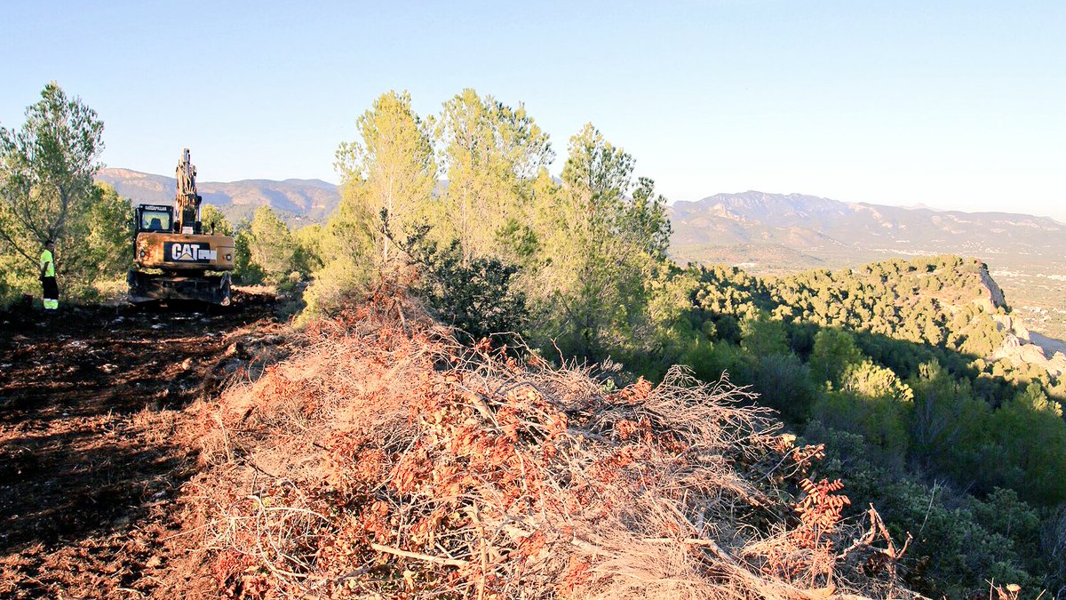 SalvemSonPuig's tweet photo. Buscamos empresa que evalúe el impacto medioambiental realizado en la puesta en marcha de la línea de alta tensión. ¿Recomendaciones? https://t.co/m9RQaR9V9E