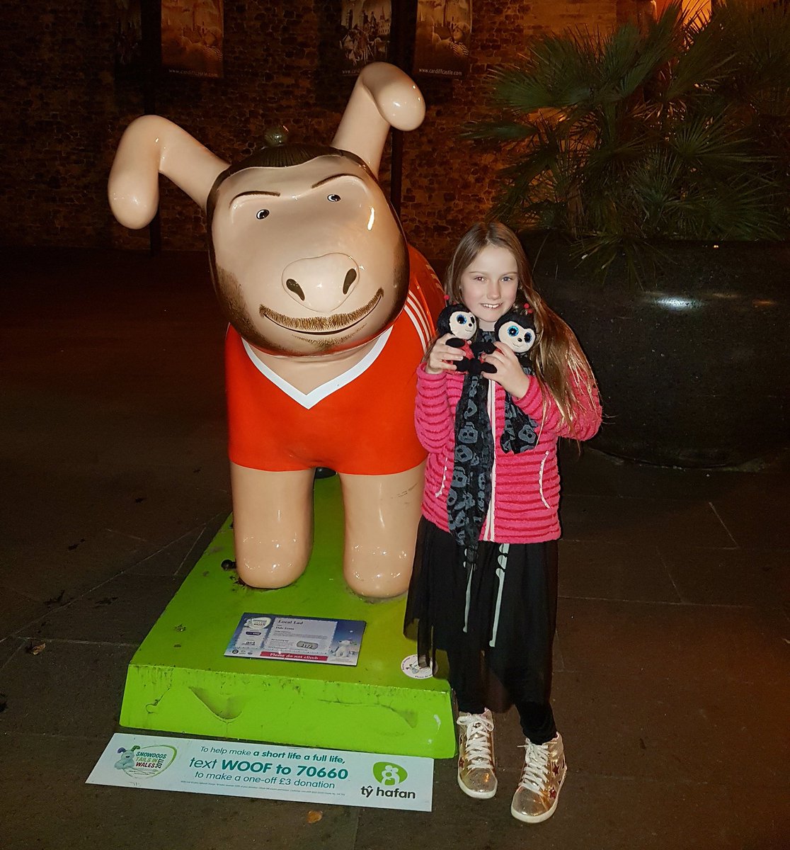 SharonHardy7's tweet photo. @SnowDogLocalLad you are the first Snowdog we met on our trip to Cardiff this week and we have said hello each time we pass by x https://t.co/ZywXdgTGGS