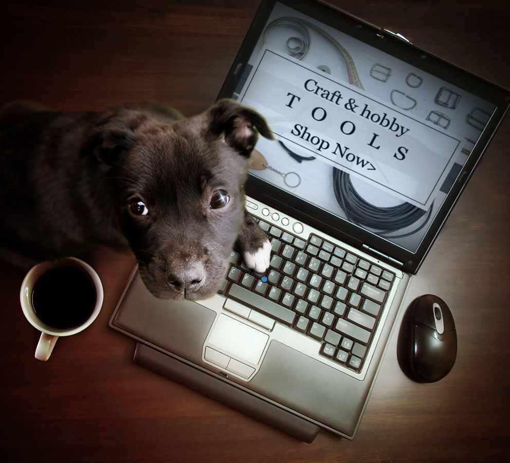 Take a break and check out our Craft Tools at pagesoftools.co.uk Open 24/7
#ATSocialMedia #FlockBN #Queenof #87RT