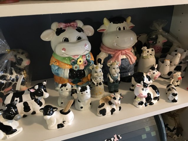 KWQCFranRiley's tweet photo. HOLY COW! Meet the Andalusia woman who COLLECTS COWS! Mooo! #Funat4! https://t.co/Np6MleQSjd