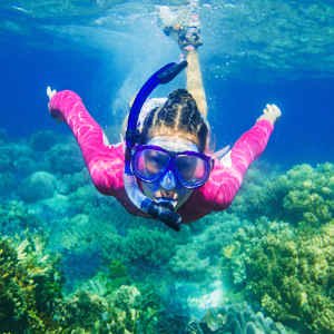 Traveller24_SA's tweet photo. How to have a wild adventure in the Western Cape. #SAAdventure.
https://t.co/Og3lhsViox https://t.co/TleOZivcp3