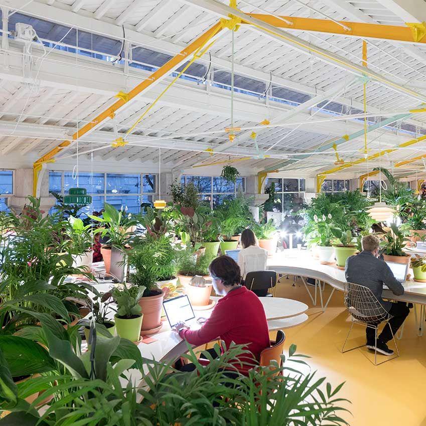 ELLEDecoUK's tweet photo. Jez Rose from The Good Life Project – experts in healthy offices – shares 5 ways to instantly improve your work days https://t.co/iFYzcohzl5 https://t.co/K1HYGQr93C